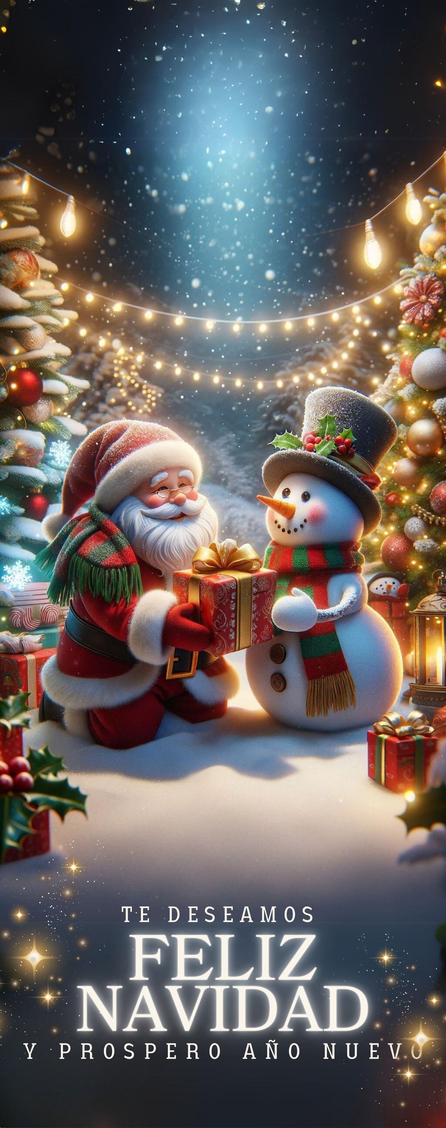 Funda navidad puerta